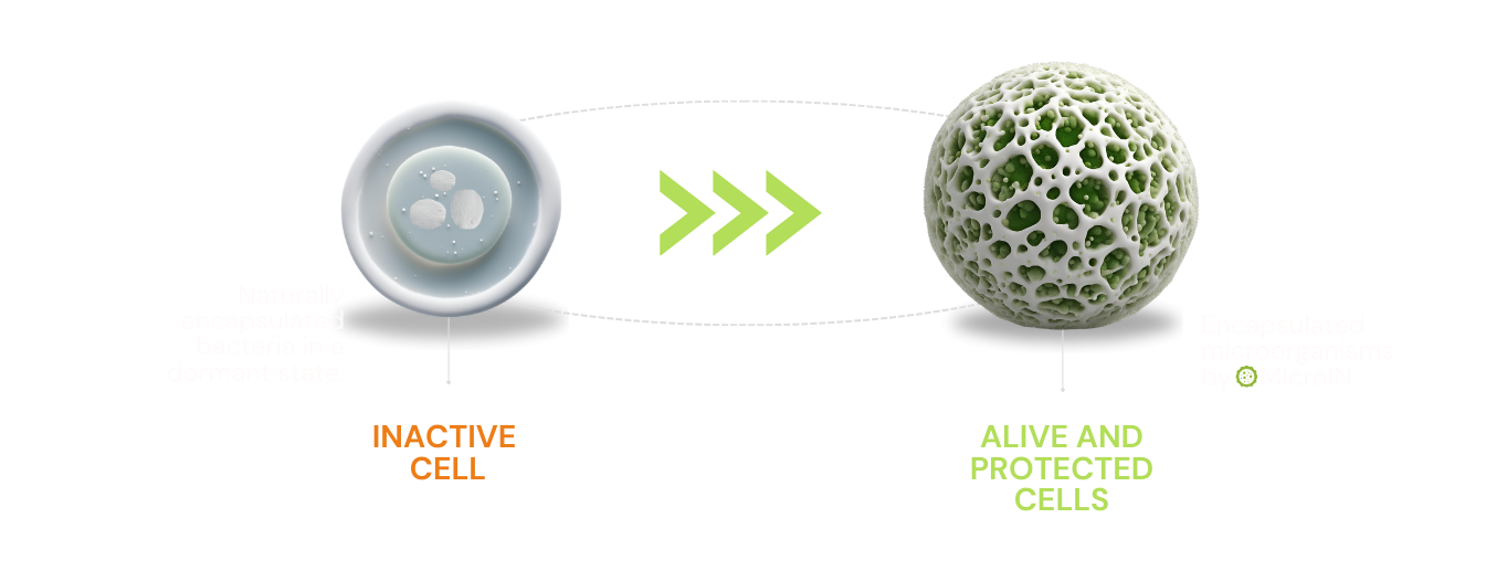 Módulos de adopción e integración tecnológica (16)