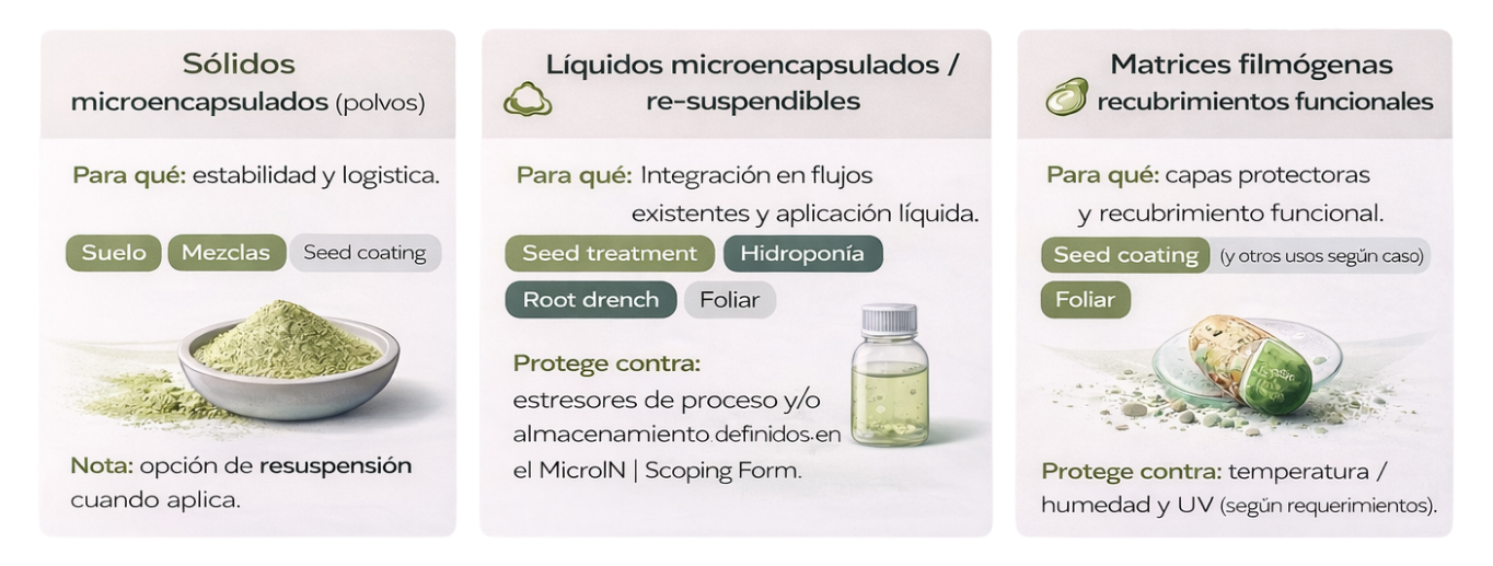 Módulos de adopción e integración tecnológica (2)