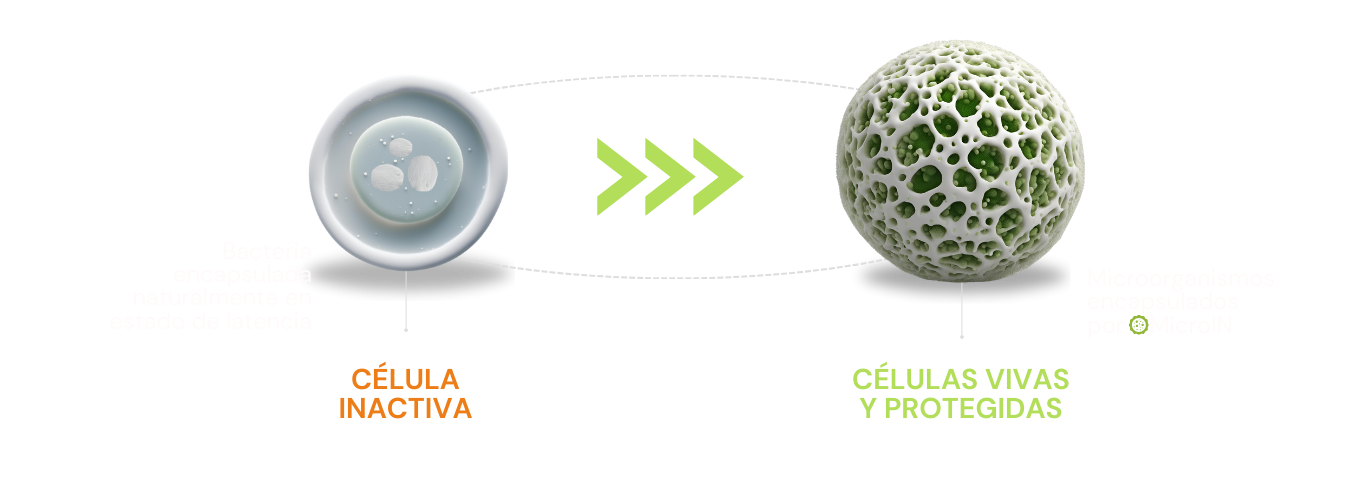 Módulos de adopción e integración tecnológica (7)