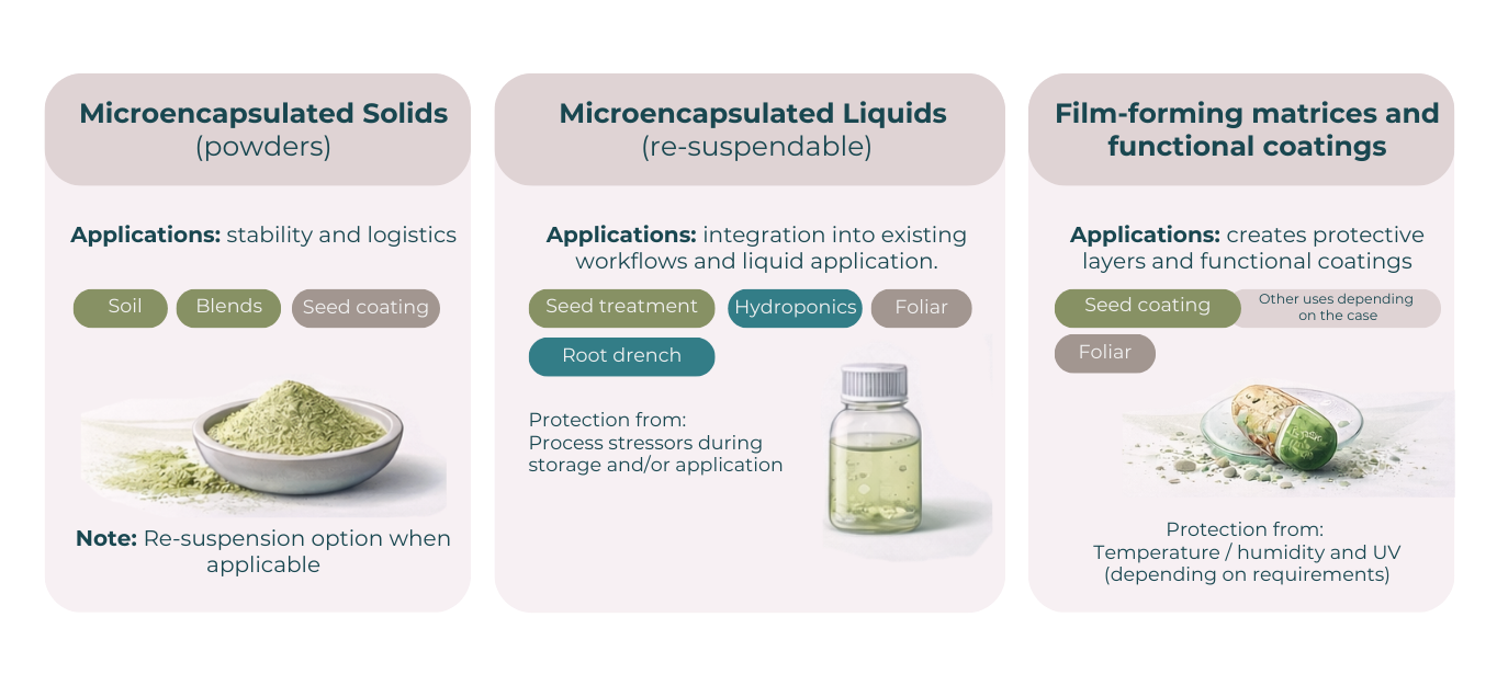 Módulos web microin (2)