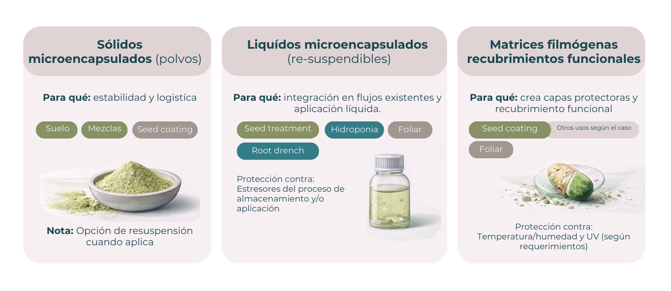 Módulos web microin (3)